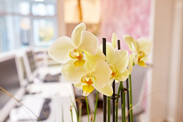 HNO Ärzte in Wiefelstede, Halsheilkunde, Nasenheilkunde, Ohrenheilkunde, Dr. Maren Rodenberg, Dr. Rieke Lesch-Brokop